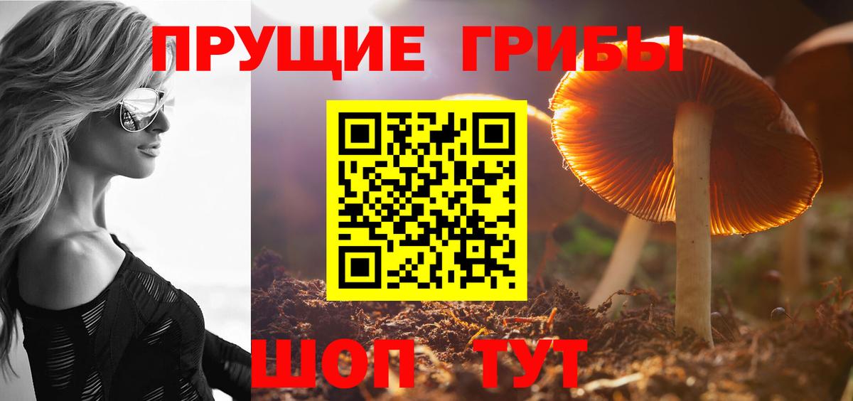 как найти   Вход с VPN  Псилоцибиновые грибы ЛСД  Березники  Псилоцибиновые грибы MAGIC MUSHROOMS 
